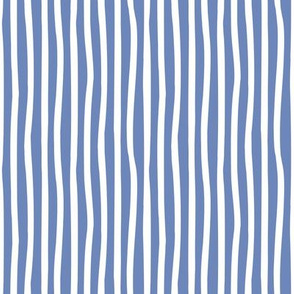 Tiny scale // Monochromatic lines coordinate // denim blue and white vertical stripes