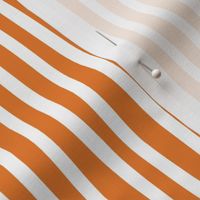 Small scale // Monochromatic lines coordinate // tahiti orange and white vertical stripes