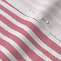 Small scale // Monochromatic lines coordinate // carissma pink and white vertical stripes