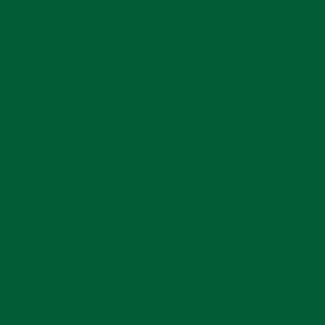 Color Map v2.1 HH2 #245B38 Cypress Grove