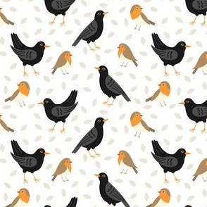 Robins and Blackbirds on White