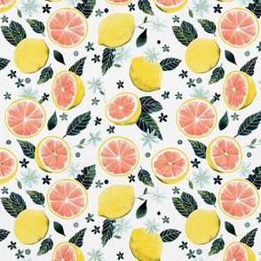 Watercolor Grapefruit Pattern