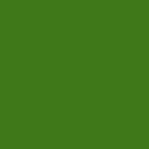 Color Map v2.1 II5 #4C762A Turf Green