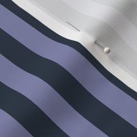 Cool Grey Awning Stripe Pattern Vertical in Medium Charcoal
