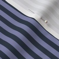 Cool Grey Bengal Stripe Pattern Vertical in Medium Charcoal