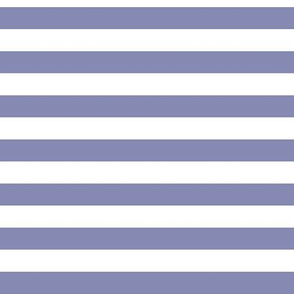 Cool Grey Awning Stripe Pattern Horizontal in White