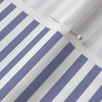 Cool Grey Bengal Stripe Pattern Horizontal in White