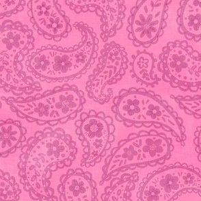 Boho Pink Sherbet Paisley Canvas 12" medium