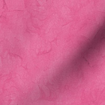 Bubblegum Pink Ginkgo Sunprint Texture