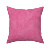Bubblegum Pink Ginkgo Sunprint Texture