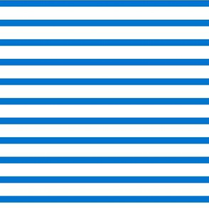 Blue and white, blue stripes, striped fabric, Striped design, sailor vest, medium stripes, striped pattern, horizontally striped, horizontal stripes, white blue stripes, sea stripes, striped, marine design.