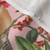 Vintage Birds + Pink Botanical Floral in Pink