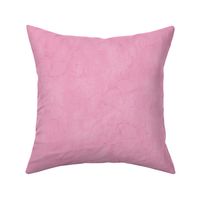 Medium Pink Ginkgo Sunprint Texture