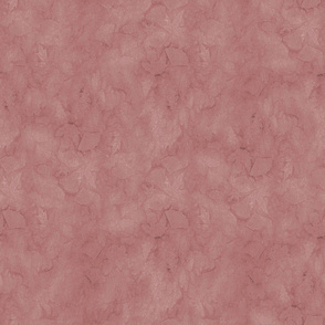 Dusty Rose Ginkgo Sunprint Texture