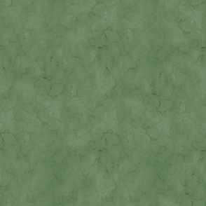 Sage Geen Ginkgo Sunprint Texture