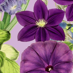 Vintage Purple Botanical Floral