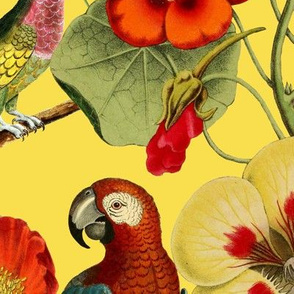Red + Yellow Vintage Botanical and Bird Floral