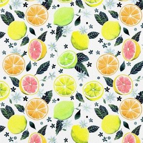 Assorted Watercolor Citrus Pattern