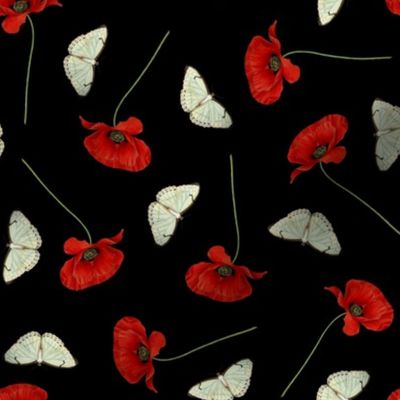 Poppies + Papillons in Black