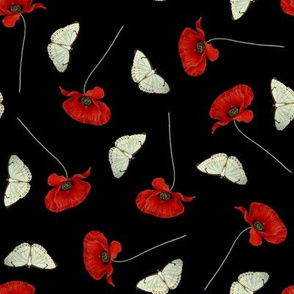 Poppies + Papillons in Black