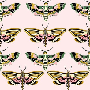 Modern vintage moths