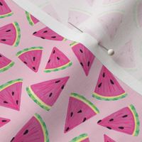 Watermelon Tropical Summer Fruit on pink