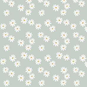 Daisy Pattern Images  Browse 263172 Stock Photos Vectors and Video   Adobe Stock