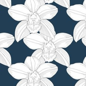 Navy orchids/blue orchid flower/tropical moody/large scale/summer time/cotton/cymbidium/ orchids/orchid lines