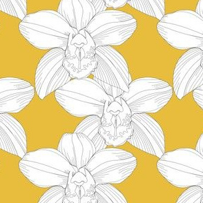 yellow orchid/tropical moody/large scale/summer time/cotton/cymbidium/ orchids/ yellow/ orchid lines
