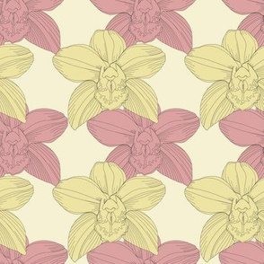 Pink-yellow orchids/blue orchid flower/tropical moody/large scale/summer time/cotton/cymbidium/ orchids/orchid lines