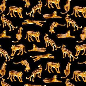 Small Sale Wild Tiger Cats Tropical Jungle Safari Orange Black Stripes