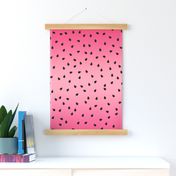 Bigger Scale Black Watermelon Seeds on Pink Ombre