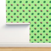 Bigger Scale Watermelons on Green