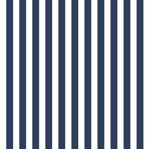 Navy and white stripes