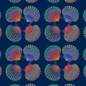 Vibrant seashells