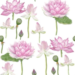 Lotus Blossom- Floral Botanical