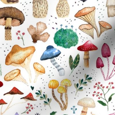 SMALL Watercolor forest mushroom illustration and plants 