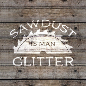 Sawdust is Man Glitter on barn wood 18 inch square