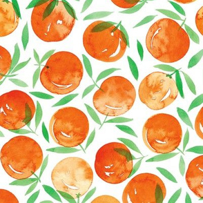 Oranges in Watercolour