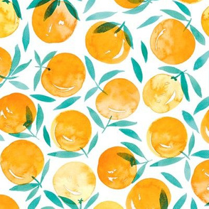 Oranges in Watercolour on White