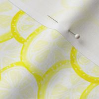 Lemon Slices | Hero Print