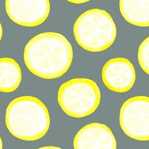 Lemon Slices | On Grey