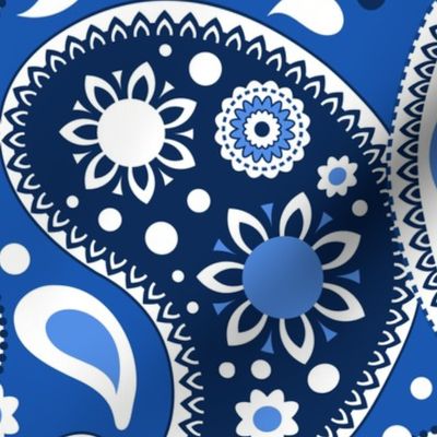 Blue and White Country Paisley Print