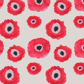 Poppy Love