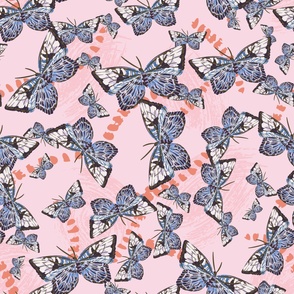 blue clipper butterflies on pink by rysunki_malunki