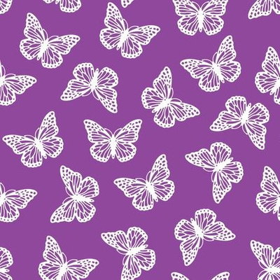 Purple Butterfly Pictures  Download Free Images on Unsplash