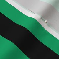 Large Jade Green Awning Stripe Pattern Vertical in Black