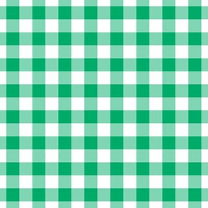 Gingham Pattern - Jade Green and White