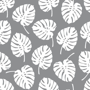 Monstera grey white