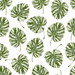 Sage Green painted Monstera leaves white